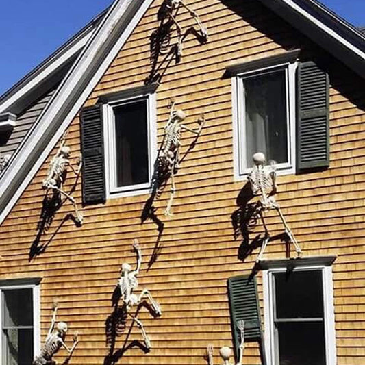 40/90cm Halloween Skeletons Fake Full Body Skull Bones Movable Halloween Party Decor for Home Bar Haunted House Horror Props